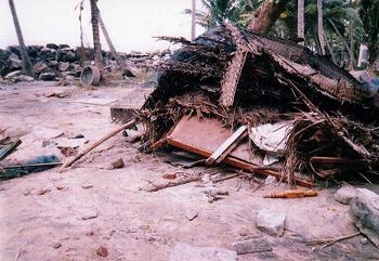 tsunami pictures victims